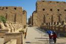 Égypte : le site de Karnak à Louxor visé par un attentat suicide