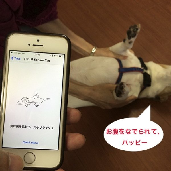 無法理解狗狗狗行為嗎？Shiraseru Am幫你記錄與分析一切！