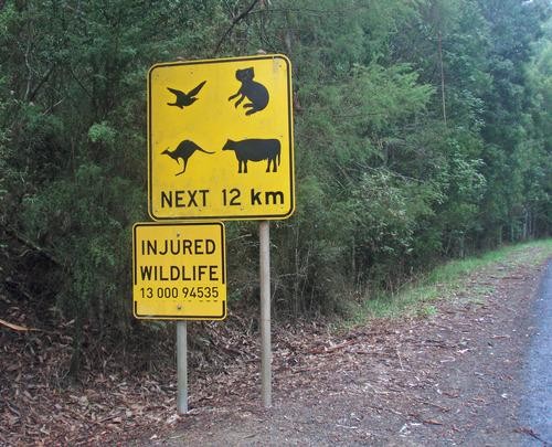 great ocean road sign