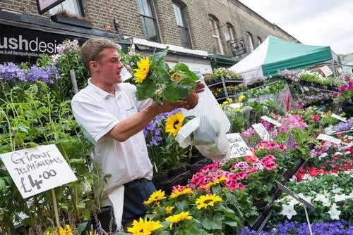 columbia road flower market