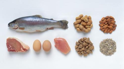 A Healthy Curiosity: The Ultimate Guide to Protein