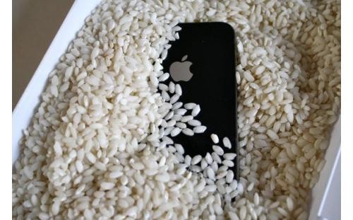 iPhone in a bag of rice