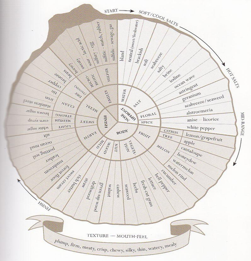 Flavor Wheels Help You Describe The Taste Of Everything (party Trick!)