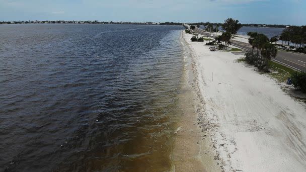 PHOTO: Dead fish line the shoreline along the Sanibel causeway after dying in a red tide, Aug. 1, 2018 in Sanibel, Fla. (Joe Raedle/Getty Images)