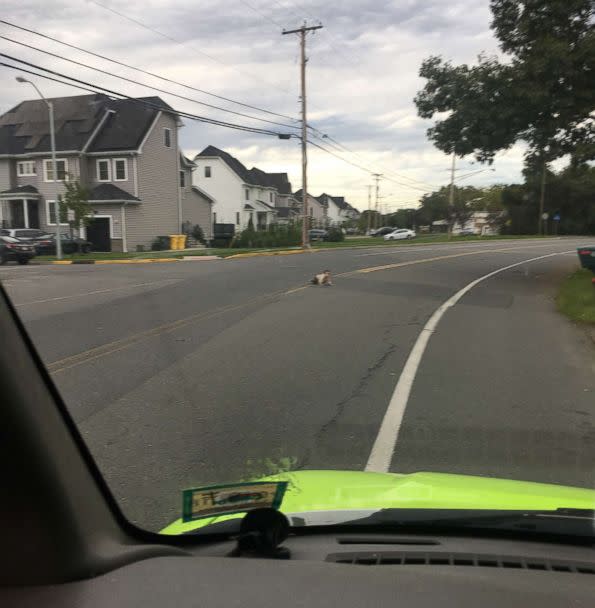 PHOTO: A baby crawls across Joe Parker Road in Lakewood Township, N.J., in a photo taken by a passing motorist who stopped to move the child off of the street, Sept. 22, 2018. (Courtesy Cory Cannon)