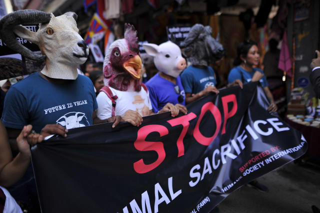 Nepalese youth activists wearing masks of various animals as take part in the rally to stop animal sacrifice in the name of God & Goddess during the Gadhimai Festival in Bara district in Kathmandu, Nepal on Friday, June 14, 2019. Stop Animal Sacrifice campaign is seeking a ban on all forms of animal sacrifice in public and private spaces throughout Nepal. (Photo by Narayan Maharjan/NurPhoto via Getty Images)