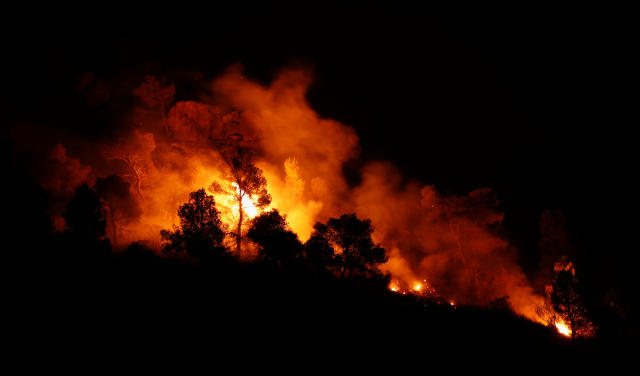 Trees burn during a forest fire near Maials, west of Tarragona, Spain, June 27, 2019. REUTERS/Albert Gea