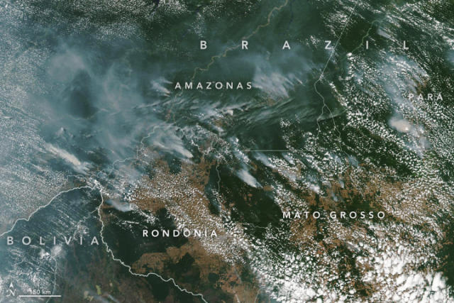 Imagen satelital de los incendios en el Amazonas tomada el 13 de agosto de 2019 por el satélite Aqua de la NASA. (Crédito imagen: NASA).