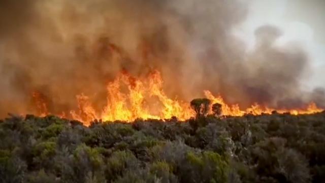 Kilimandscharo In Flammen Feuer Auf Dem Hochsten Berg Afrikas