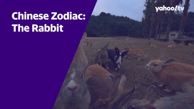 Mak Ling Ling S Chinese Zodiac Forecast For 2021 The Rabbit