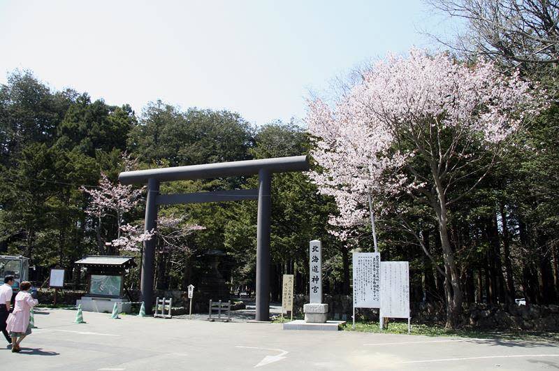 北海道神宮（照片來源：札幌觀光協會官網）https://goo.gl/4pgrtg