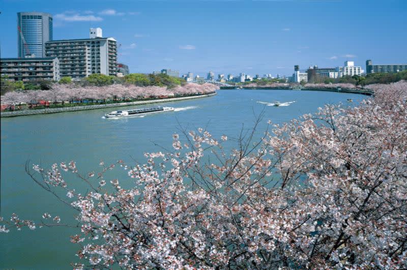 毛馬櫻之宮公園（照片來源：大阪觀光局PHOTO　LIBRARY） http://www.osaka-info.jp/photo_library/