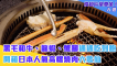 黑毛和牛、龍蝦、蟹腳通通吃到飽 開箱日本人氣高檔燒肉六歌仙